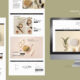 Free vs. Premium WordPress Themes: Which One’s Right for You?